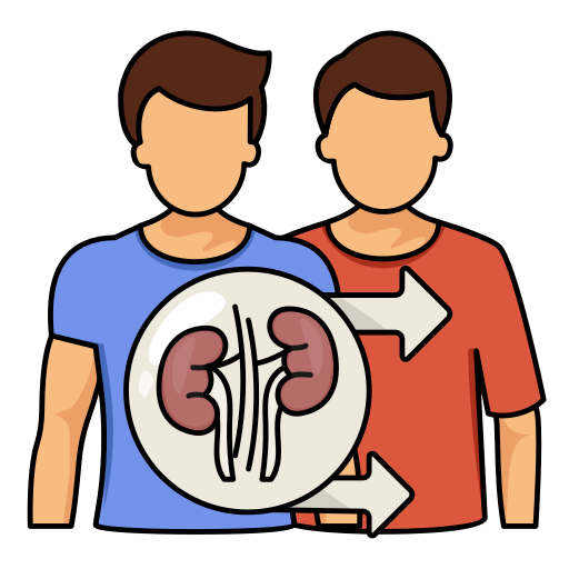 Kidney Transplant in Indore