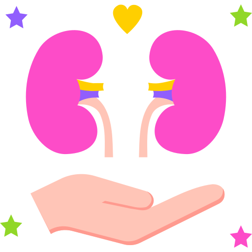 Kidney Stone Management