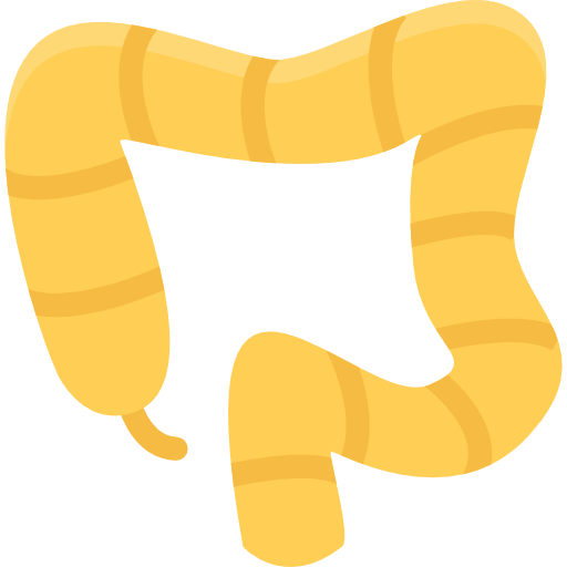 Appendix Surgery (Appendectomy)