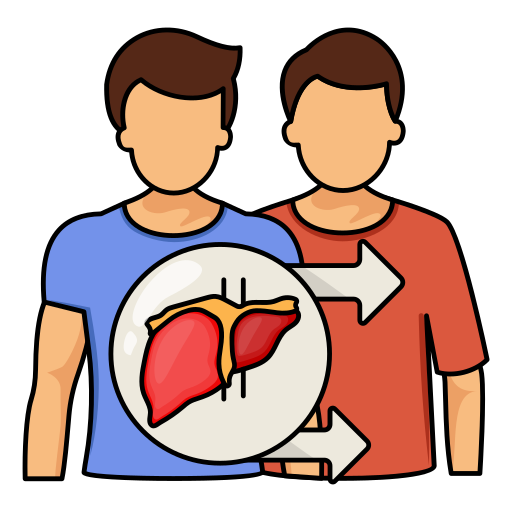 Liver Transplant icons