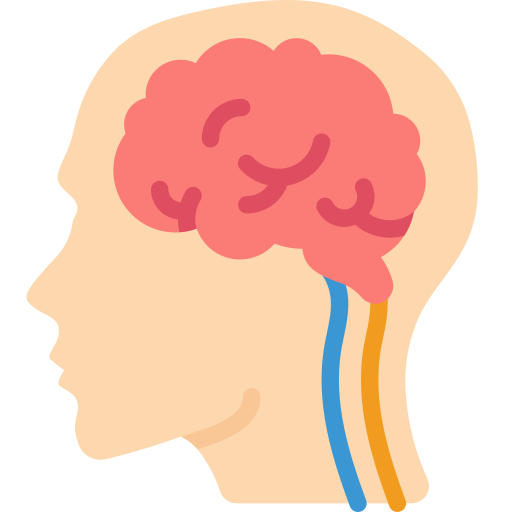 brain