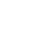 kidney